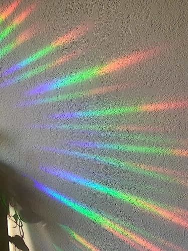25 Pieces Flower and Butterfly Ring Window Decals for Bird Strike Prevention - Reusable Rainbow Suncatcher Clings to Save Birds, Non-Adhesive Anti-Collision Stickers, Easy Remove No Residue