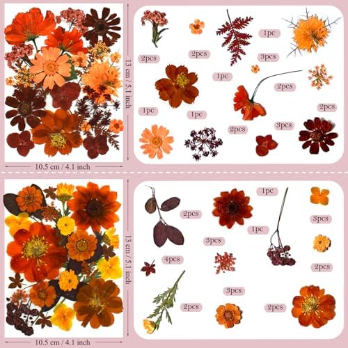 92 Pcs Fall Dried Pressed Flowers for Resin Molds, Real Natural Bulk Dry Wildflowers Leaves Perfect for Epoxy, DIY Crafts, Nails, Soap Candles Jewelry Making, and Home Decor