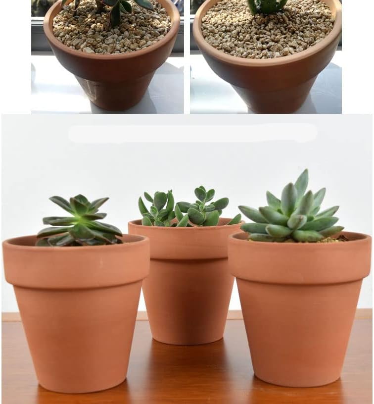 OLEEP Clay Pots - 10 Pack (5.5 inch) Large Terra Cotta Plant Pot with Drainage Hole,Garden Pots, Clay Planters Pot