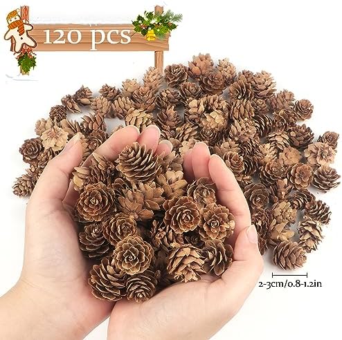 Jangostor 120 PCS Pine Cones Decorations, Natural Pine Cones Bulk - Mini Pine Cones Christmas Pine Cones for Table Christmas Tree Crafts Gifts Thanksgiving Fall and Xmas Home Decor