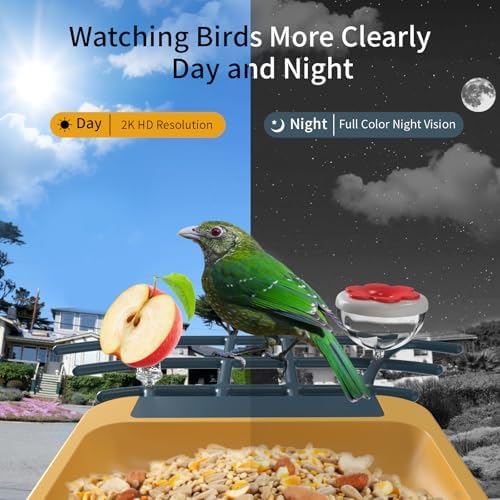 Bird Feeder with Camera - AI Identify Bird Species, Auto Record Bird Video