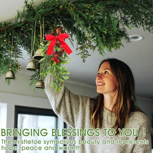 Daifunli 12 '' Christmas Mistletoe Decor Hanging Artificial Mistletoe