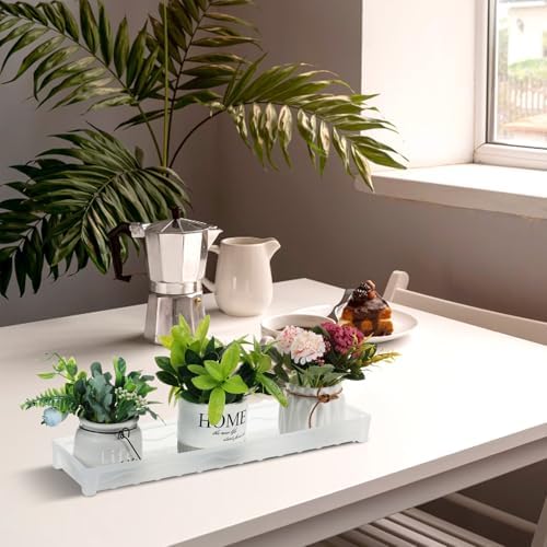 FMOACEN 6 PCS Plastic Plant Tray Saucer, Rectangular Window Sill Plant Tray for Indoors Outdoor Flower Pots for Window Shelf, Clear Thick Plastic Plant Trays for Succulent Pot, Square Plant Saucers