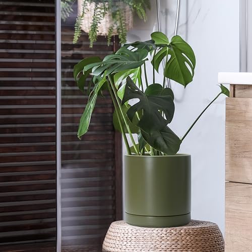 D'vine Dev 10 Inch Ceramic Planter Pot, Olive, 94-O-E-J