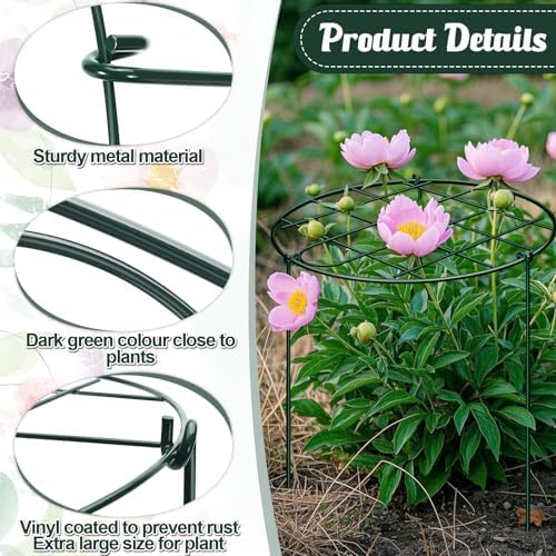 6 Pack 16 x 24 Inch Peony Cages and Supports for Outdoor Plants