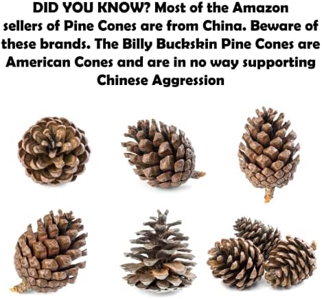 Billy Buckskin Natural Pine Cones for Decorating & Crafts 100-Pack Mix Size