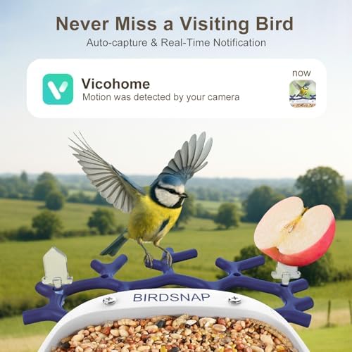 Smart Bird Feeder with Camera Solar Powered 2K HD Live Video with 32GB Card
