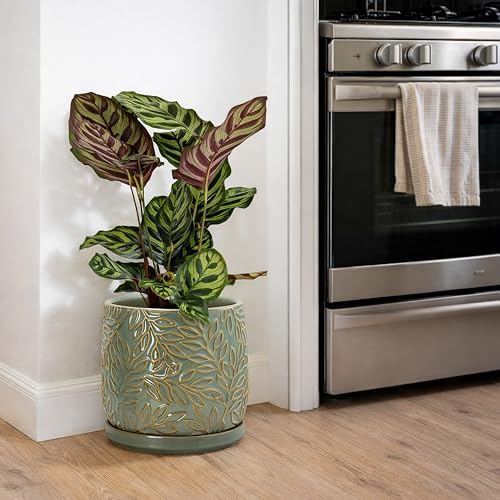 D'vine Dev Embossed Leaves Ceramic Planter, 8 in, Olive, 27-A-Q-0