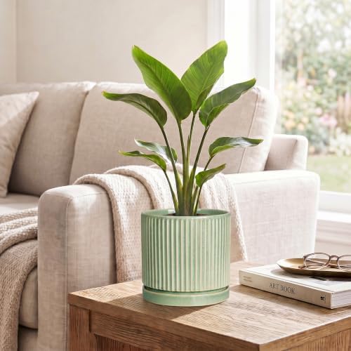 6 Inch Planter, Ceramic Plant Pots, Round Pots for Plants, Green