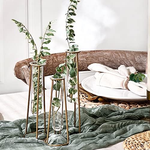 Propagation Station Terrariums with Gold Metal Stand - Kate Aspen 3 Glass Test Tube Planters for Indoor Plant, Air Plants, Plant Clippings, Cut Flowers, Herbs, Succulents | Home Decor Table Decoration
