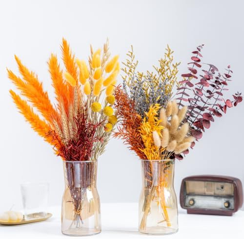 12 Kind Dried Flowers Set - Fall Decor Preserve Flowers Kit