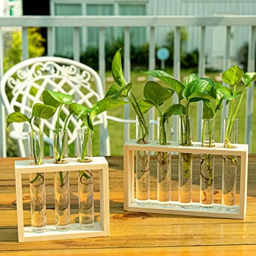 Wooden Propagation Station with 5 Glass Test Tubes, Tabletop Glass Terrarium Holder for Plant Cuttings Hydroponics, Home Office Desk Decor Gift for Women Mom Plant Lovers, Beige