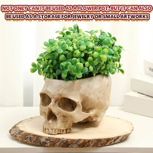 2 Pack Halloween Skull Planter, Beige, Vintage