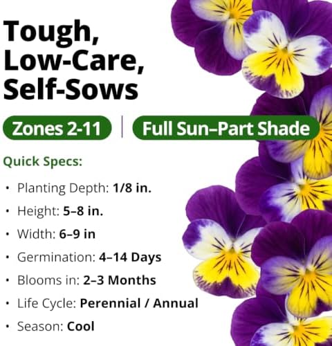 HOME GROWN Johnny Jump Up Helen Mount Viola Seeds, 1,500, Viola Tricolor