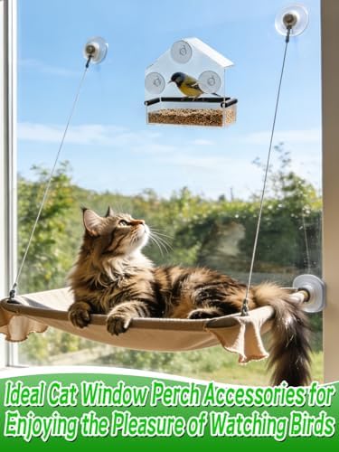 MEWTOGO Outdoor Window Bird Feeder for Cats Viewing, Small