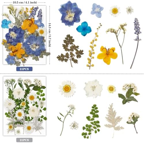 85Pcs Pressed Flowers for Crafts, Colorful Dried Flowers for Crafts Real Natural Dried Pressed Flowers Dry Leaves Bulk for Resin, DIY Art, Scrapbook, Jewelry, Card, Candle & Soap Making with Tweezers