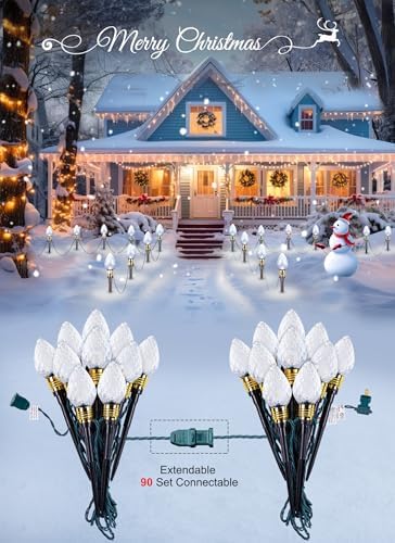 2 Pack Strawberry C9 Christmas Pathway Lights Outdoor, Total 34.8FT 20 LED