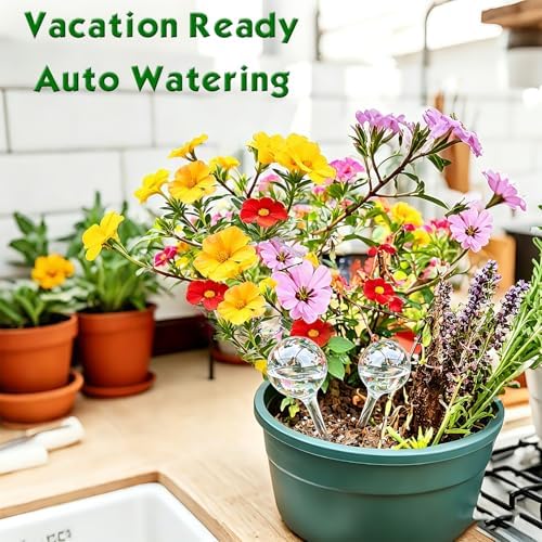 Plant Self Watering Devices, Vocation Houseplants Automatic Watering Bulbs