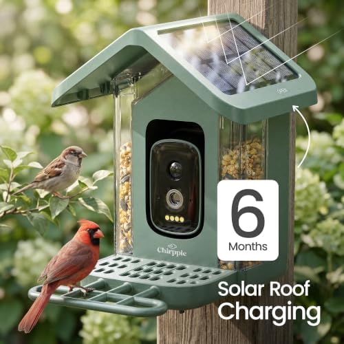 Solar Powered Smart Bird Feeder with Camera — 2K HD Video Bird Feeder with AI Bird Identification, Wireless 2.4 GHz WiFi Outdoor Birdhouse Camera with Live Feed — Gift for Bird Lovers (Green)