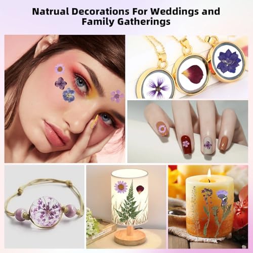 12“ Large Bulk Dried Pressed Flowers for Glass Frame, Real Dry Natural Flower Leaf for Resin Mold, Cake Decor, Holiday Decorations, Phone Cases, Invitations (Purple Haze)