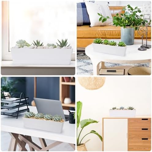 GREANER Long Window Boxes Planters, 6 Pack 16x3.8 Inch Vegetable Box Pot with Tray, Indoor Succulent Cactus Flowers Plastic Rectangle Pot for Balcony, Office, Garden, Outdoor, Windowsill - White
