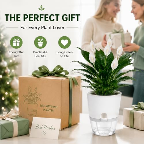 6 Inch Self Watering Planters 4 Pack Plastic Wicking Pots White
