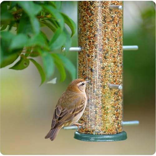 MIXXIDEA Finch Bird Feeder Hanging Metal Thistle Seed Feeder