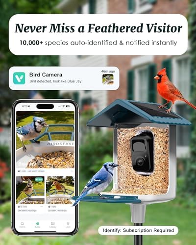 Bird Feeder with Camera Solar Powered 2K Video with 32GB Card Auto Capture