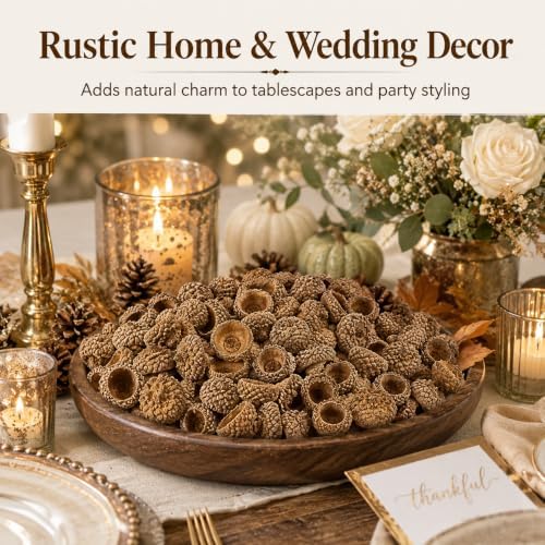 100Pcs Natural Acorn Caps for Crafts, Dried Acorn Tops Fall Decor