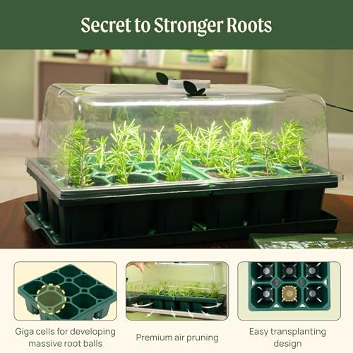 Vego garden Germination Bundle, 2Packs Giga Seedling Trays with Seedling Tray Lids and 10" x 20" Bottom Watering Trays Plus Seedling Humidily Dome