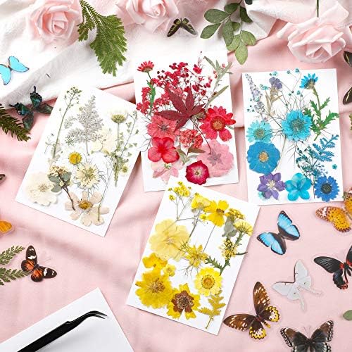 Augshy Real Dried Pressed Flower Set with Butterfly Transparent Stickers Scrapbook Decals Natural Dried Flowers Leaves with Tweezers for Resin Supplies DIY Candle Jewellery Making