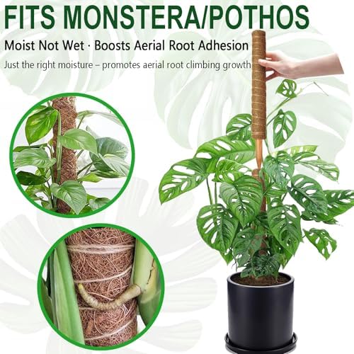 Soupiar 2 Pack 22 Inch Stackable Moss Pole - Thick & Sturdy Natural Coir Totem Plant Support & Garden Stakes for Monstera & Pothos, Indoor Climbing Vining Houseplants, 38" H Max