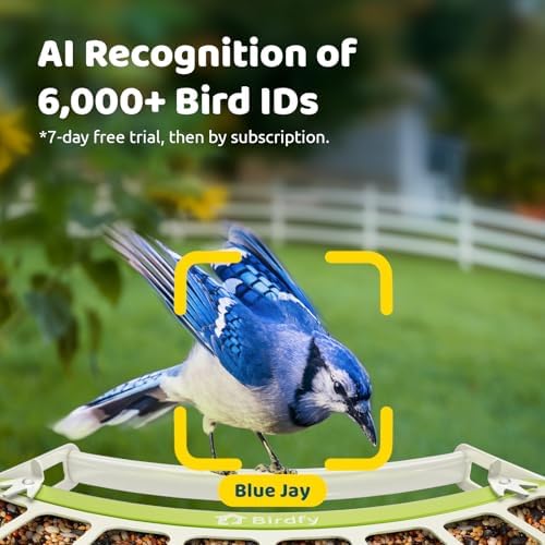 Birdfy Smart Bird Feeder with Camera Solar Powered, Premium Metal Design
