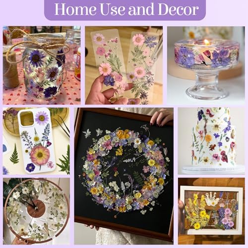 85Pcs Pressed Flowers for Crafts, Pink Purple Dried Flowers for Crafts Real Natural Dried Pressed Flowers Dry Leaves Bulk for Resin, DIY Art, Scrapbook, Jewelry, Card, Candle & Soap Making w/ Tweezer