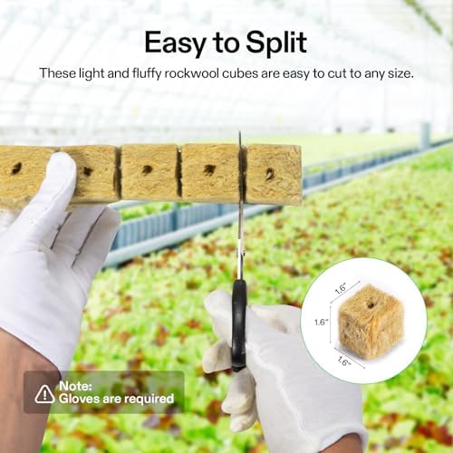 VIVOSUN 1.6 Inch Rockwool Cubes, Grow Cubes for Hydroponics, Cuttings, Cloning, Plant Propagation, Seed Startling, 8