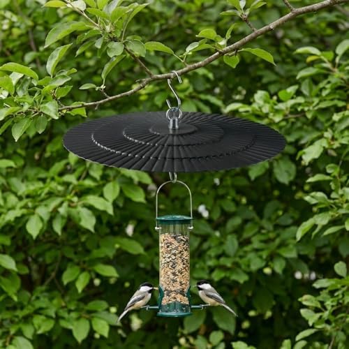 11.5" Metal Bird Feeder Rain Guard - Black
