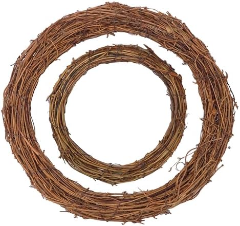 10 Pcs 12 Inch & 8 inch Natural Grapevine Wreath Set, Hand-Woven Vine Branch Wreaths for DIY Crafts, Home Decorations, Home & Event Styling(5 Pieces per Size)
