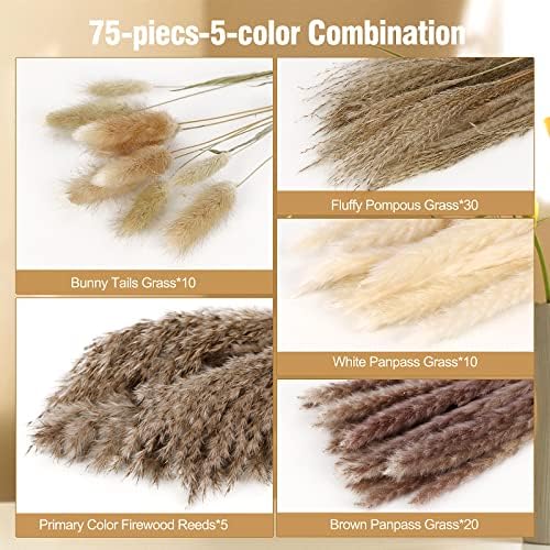 N&T NETING Dried Pampas Grass Boho Set for Crafts Centerpiece, 75Pcs