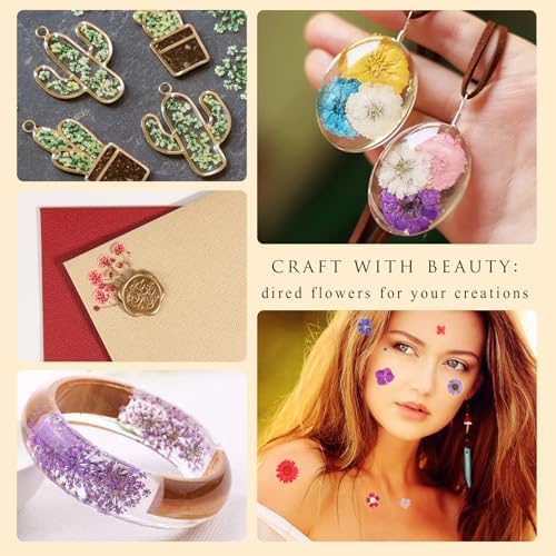 110+PCS Pressed Flowers for Resin, Colorful-B