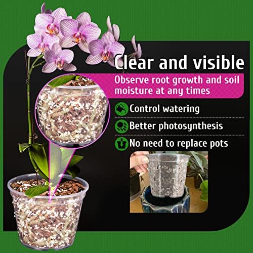 REMIAWY Orchid Pot, 8 Pack Orchid Pots with Holes and Saucers, 5.5 Inch Clear Plastic Flower Planters for Repotting Indoor Outdoor, Breathable Slotted Nursery Planter