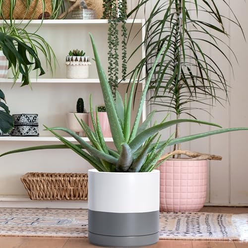 D'vine Dev 10 Inch Ceramic Planter Pot, White/Grey, 94-O-E-6