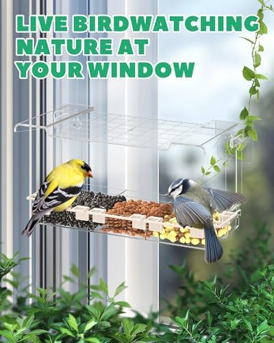 Clear Window Bird Feeder Outdoors - Bird Feeder for Viewing with 5 Perching Stands, Self-Adhesive Hooks, Drain Holes and Removable Tray, as a Birdhouse, Garden Decor