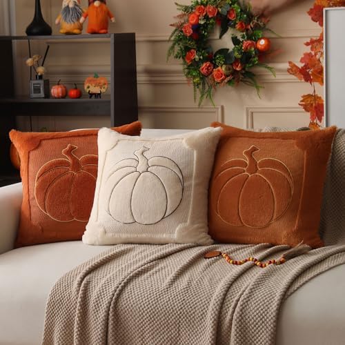Allorry Fall Pillow Covers 18x18 Rust Pumpkin Fall Home Decor PT009C18