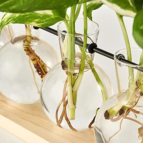 Mkono Plant Propagation Station Wall Desktop Beige Wood Stand 5 Vase Holder