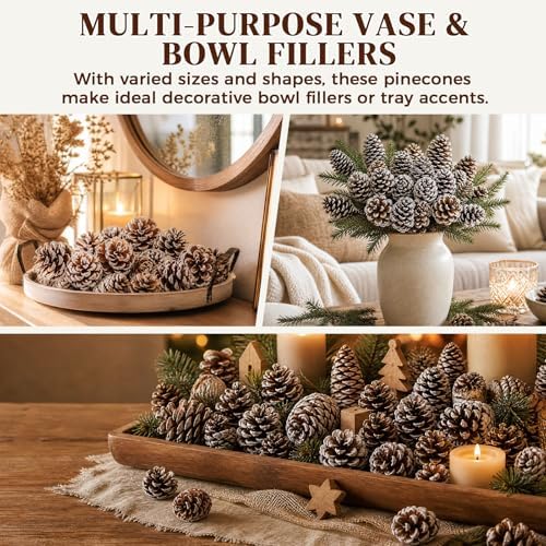DOMESTAR 40 PCS Snow Pine Cones for Crafts, Natural Cones Bowl Fillers