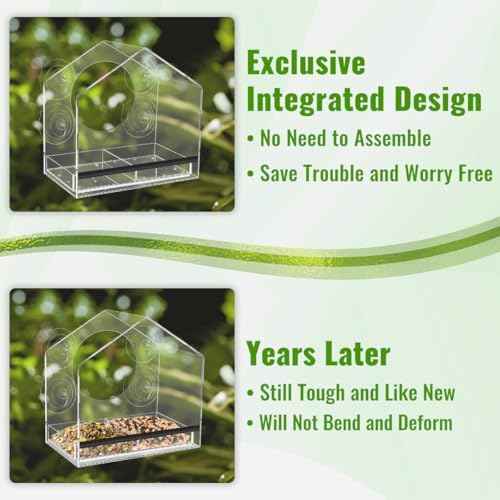 Clear Window Bird Feeder with Strong Suction Cups