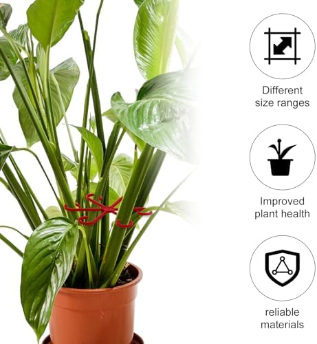 PEUTIER 4pcs Plant Stem Supports, Plastic Houseplant Climbing Holders