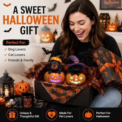 Hodao Halloween Pumpkin Decor with Cat & Dog, Lighted Jack O Lantern