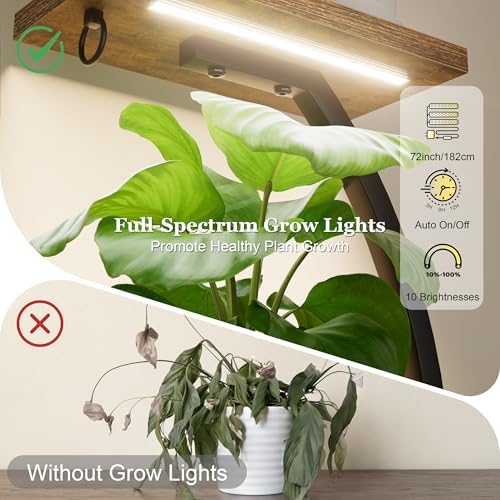Plant Stand Indoor with Grow Light - 2 Pack Tall Large Lighted Plant Shelf