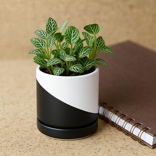 D'vine Dev 3.5 Inch Ceramic Planter Pot, Black White Diagonal, 94-O-A-K